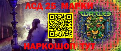 PSILOCYBIN Новодвинск