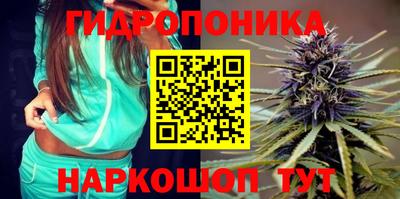 PSILOCYBIN Новодвинск