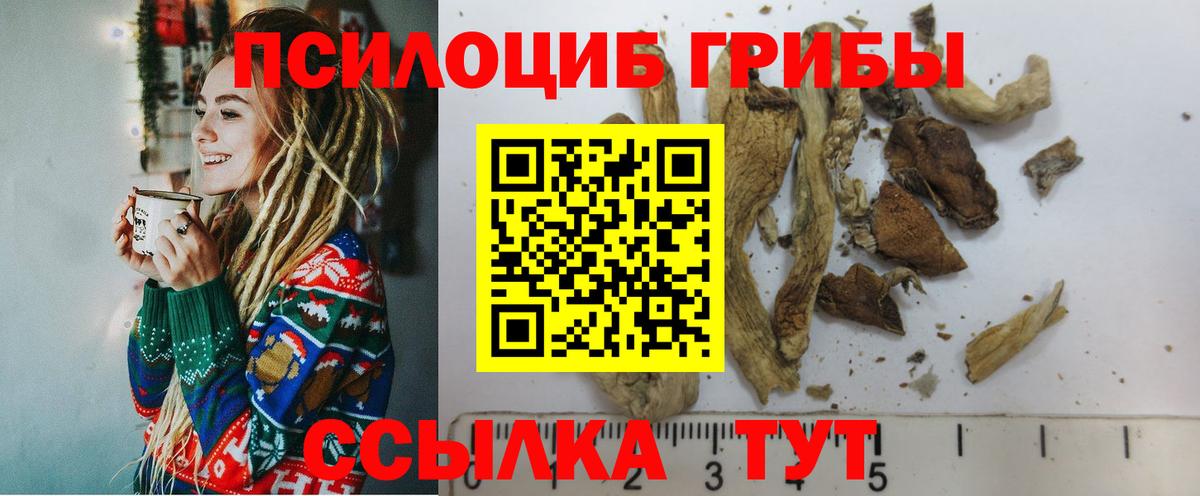 Псилоцибиновые грибы мицелий  Вход с VPN  Азов 